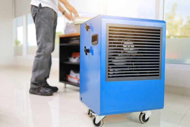 Reliable Parma, OH Mold Removal Solutions